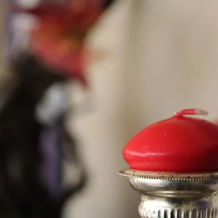 Отель Meia Lua 3*