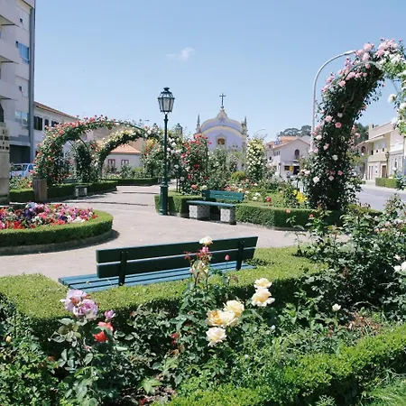 Отель Meia Lua 3*