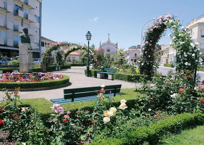 فندق Meia Lua 3*